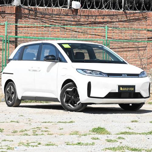 Prezzo speciale Auto passeggeri 2023 BYD TAXI D1 NUEVO NUOVI VEICOLI ENERGIONI BYD D1 AUTTRO ELETTRICA ELETTRICA MPV Compact MPV